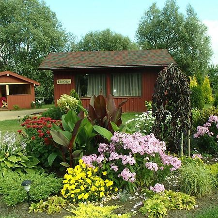 Eko Oaze Villa Pērkone Exteriör bild