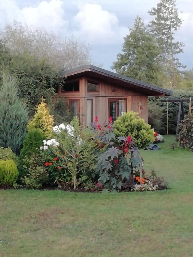 Eko Oaze Villa Pērkone Exteriör bild