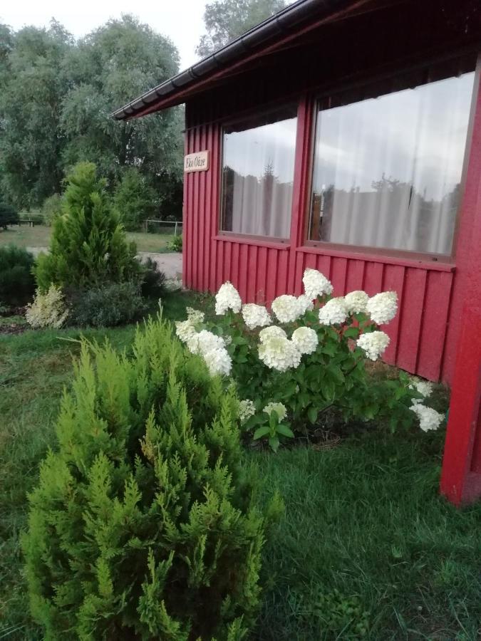 Eko Oaze Villa Pērkone Exteriör bild