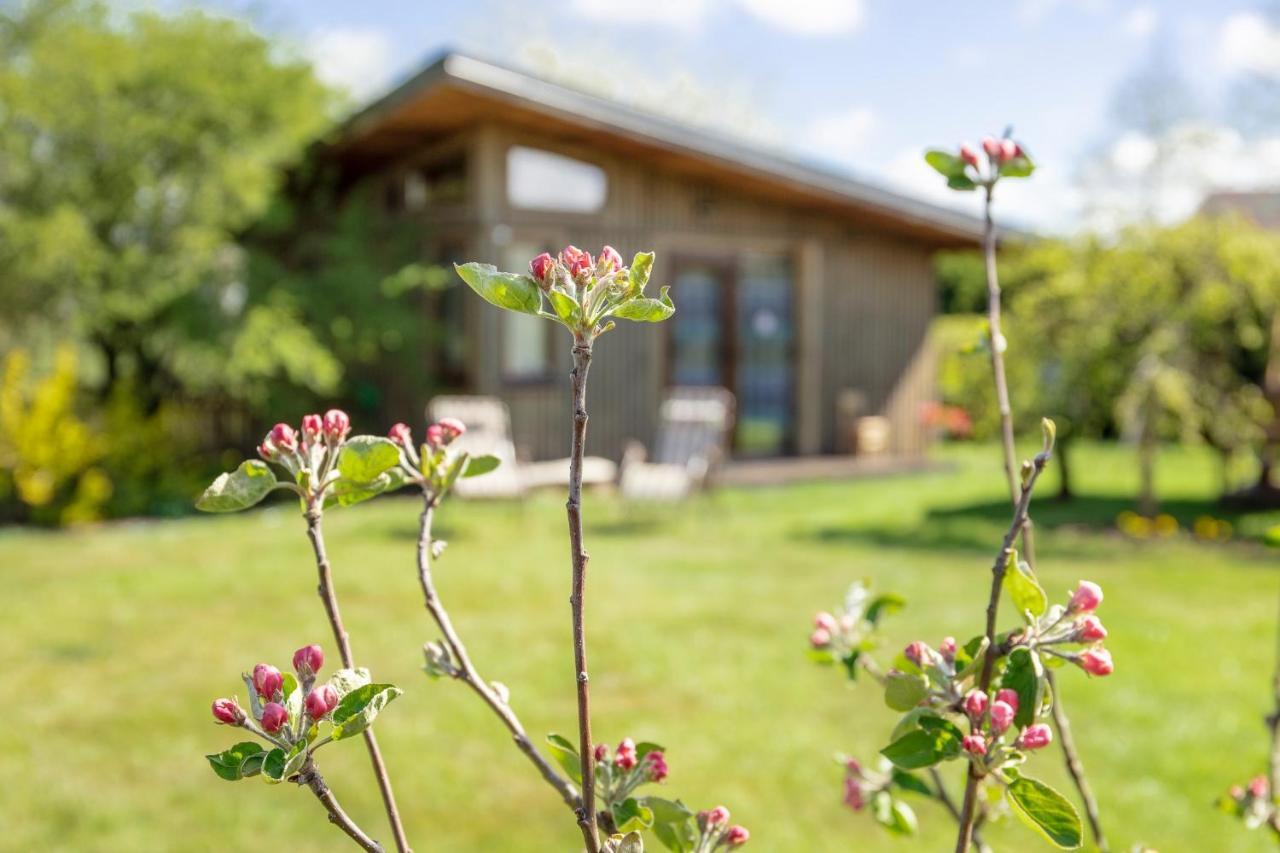 Eko Oaze Villa Pērkone Exteriör bild