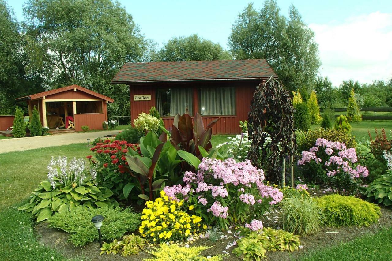 Eko Oaze Villa Pērkone Exteriör bild