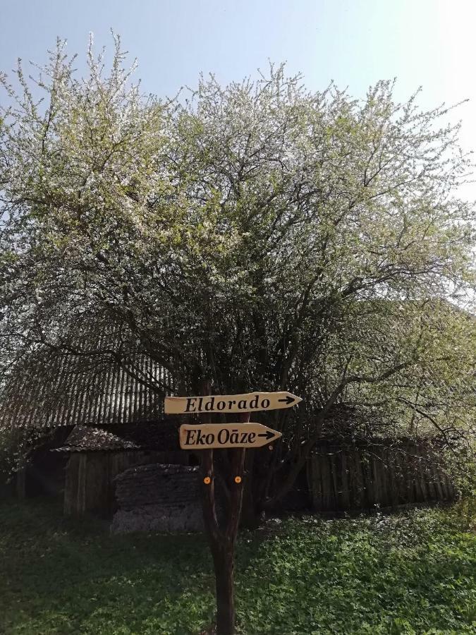 Eko Oaze Villa Pērkone Exteriör bild